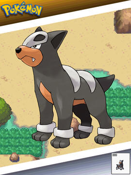 Houndour