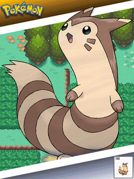 Furret