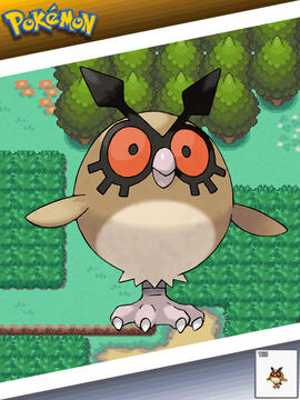 Hoothoot